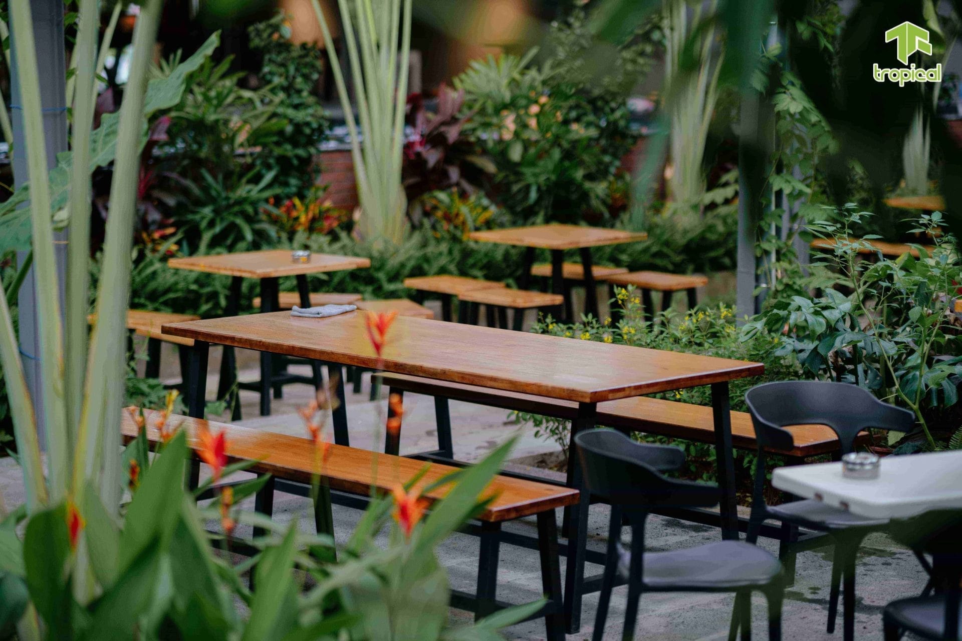 Phòng Gym Tropical Rạch Giá